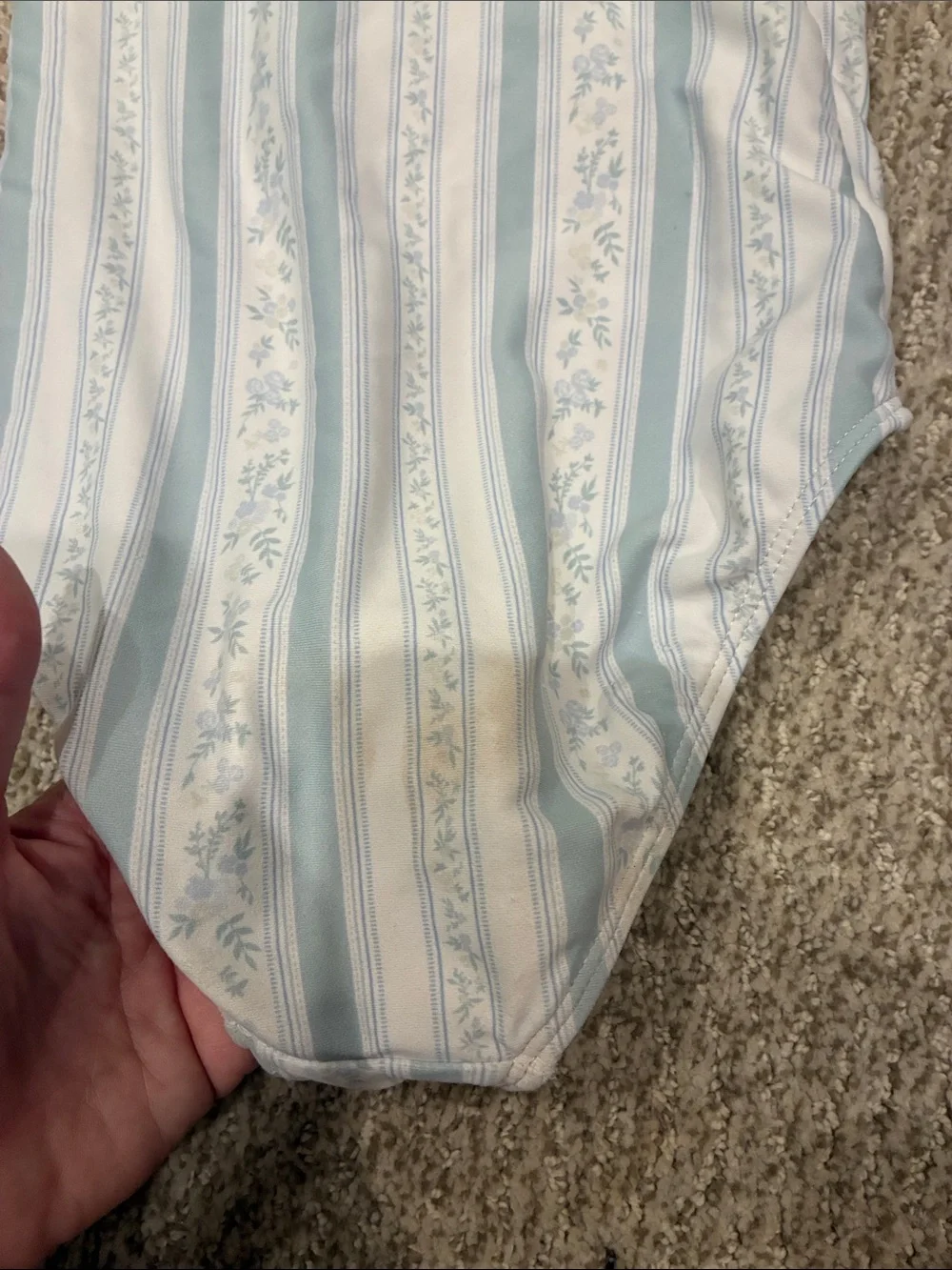 Minnow swim